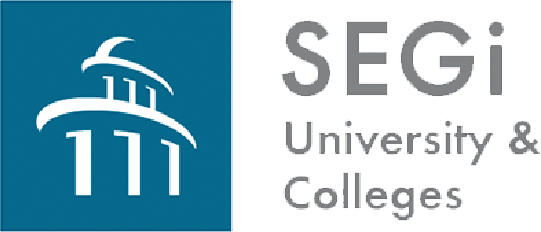 segi-lyceum-placements-partner